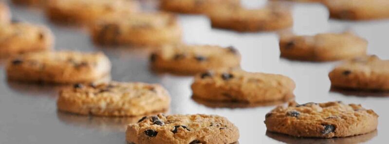 food manufacturing ERP