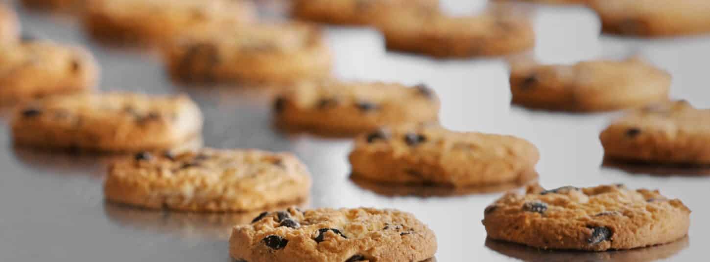 food manufacturing ERP